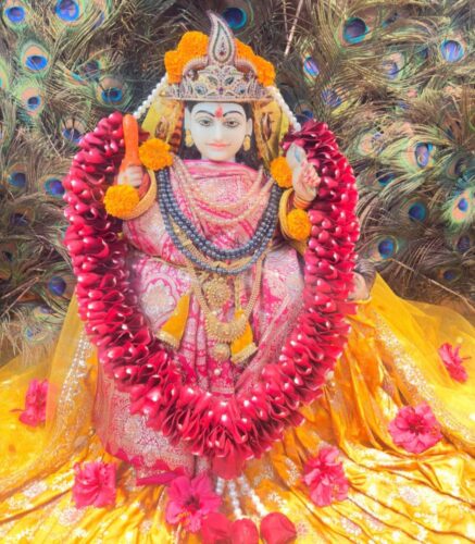 श्री पीताम्बरा पीठ त्रिदेव मंदिर (बिलासपुर) में माघ गुप्त नवरात्रि पर माँ बगलामुखी की विशेष आराधना का आयोजन
