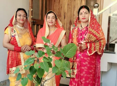 राष्ट्रीय ब्राह्मण महासंघ जिला बिलासपुर की बहनों में किया वट सावित्री व्रत